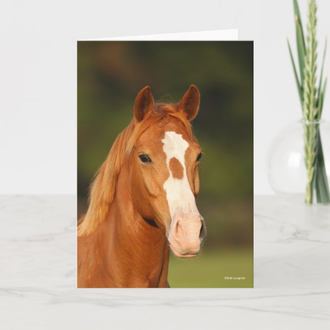 Tarjeta Captura de cabeza de castaño de Oldenburg Cross We (Anverso)