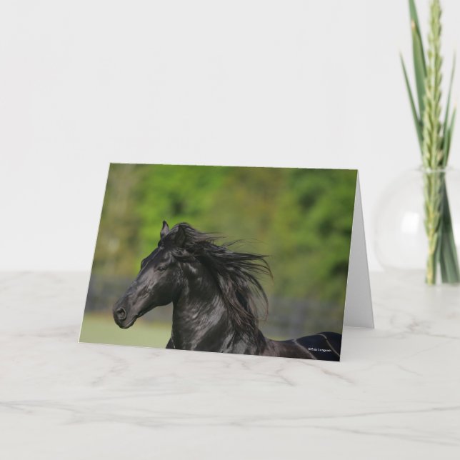 Tarjeta Captura de cabeza de Stallion de caballo frisón ne (Anverso)