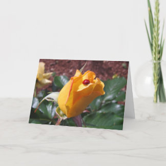 Tarjeta Capullo de rosa amarillo con la mariquita