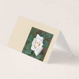 Tarjeta capullo de rosa blanca