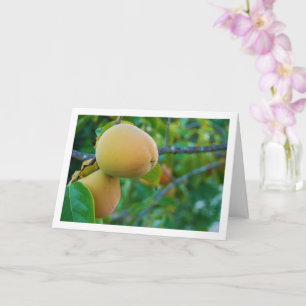 Tarjeta Caquis en retrato de árbol