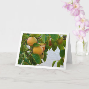 Tarjeta Caquis en retrato de árbol