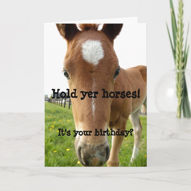Tarjeta Cara de caballo de cumpleaños de Hold Yer Horses (Anverso)