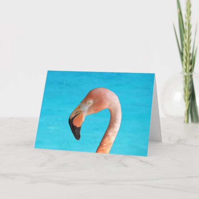 Tarjeta Cara de flamingo rosa contra agua azul en (Anverso)