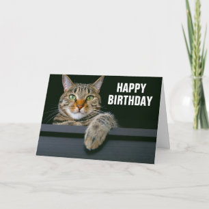 Tarjeta Cara de gato atigrado gris   Feliz cumpleaños