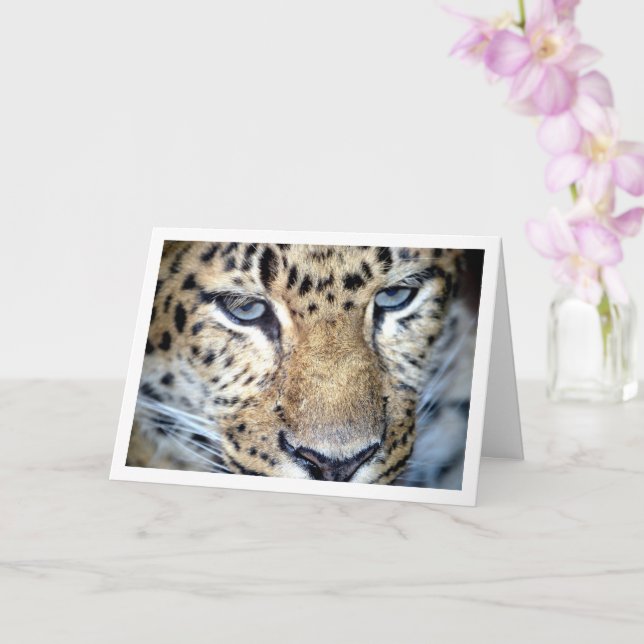 Tarjeta Cara de leopardo (Orquídea)