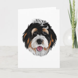 Tarjeta Cara de perro de Bernedoodle
