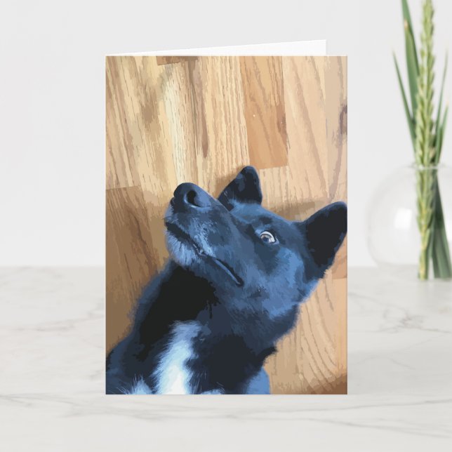 Tarjeta Cara De Perro Gracioso Que Abajo Perro Blanco Y Ne (Anverso)