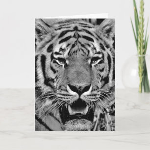 Tarjeta Cara de Tigre Blanco y Negro
