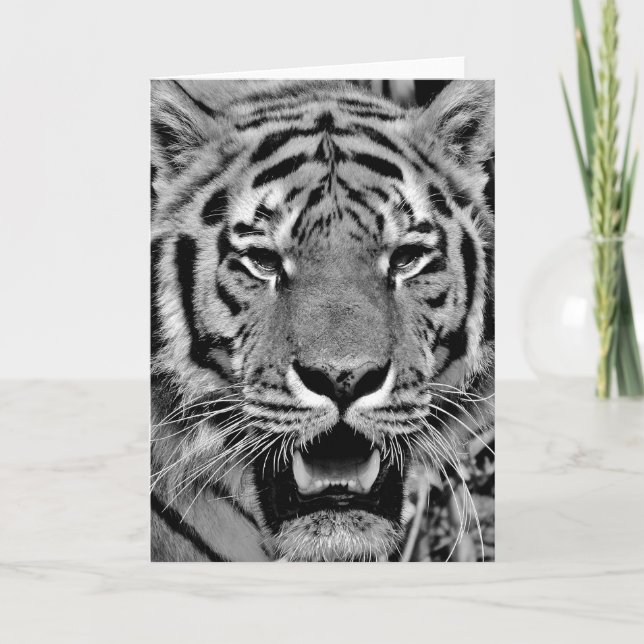 Tarjeta Cara de Tigre Blanco y Negro (Anverso)