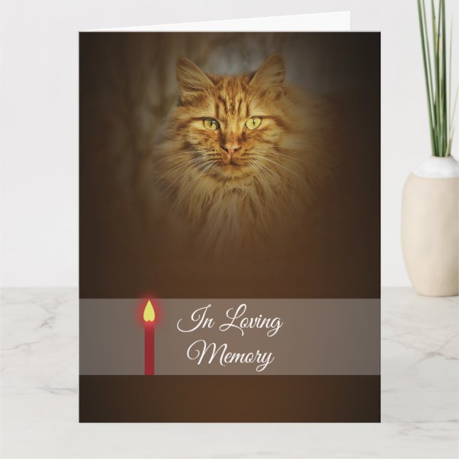 Tarjeta Cara del gato jengibre foto de una vela roja | Per (Anverso)