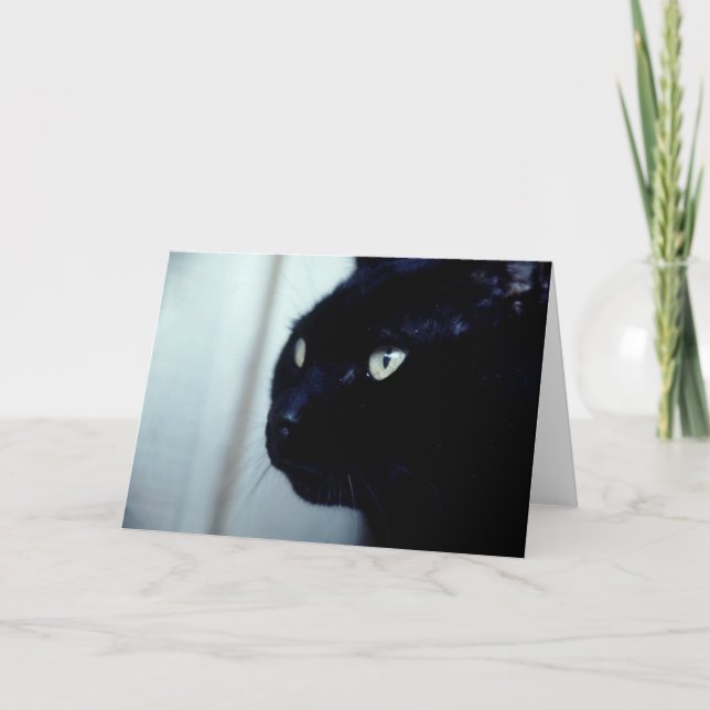 Tarjeta Cara del gato negro (Anverso)