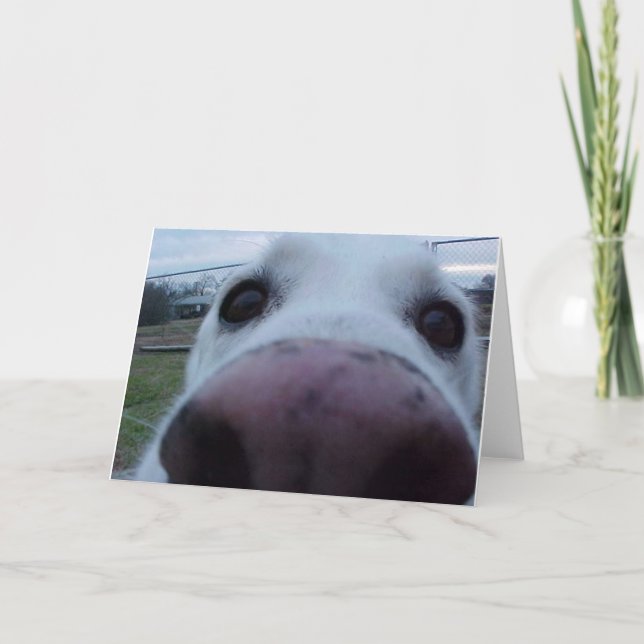 Tarjeta Cara del perro de perrito (Anverso)