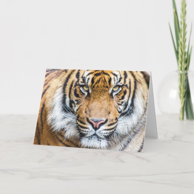 Tarjeta Cara del tigre (Anverso)