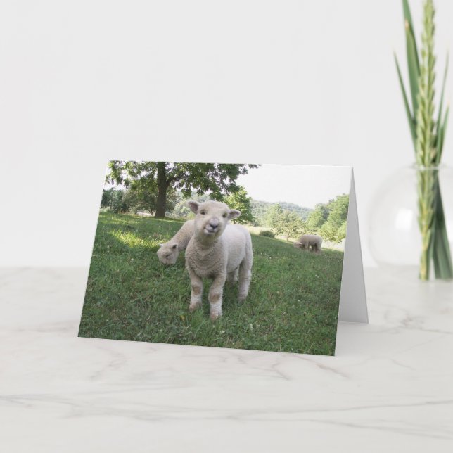 Tarjeta Cara divertida (Anverso)