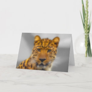 Tarjeta Cara leopardo