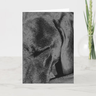 Tarjeta Carbón de leña Ruka