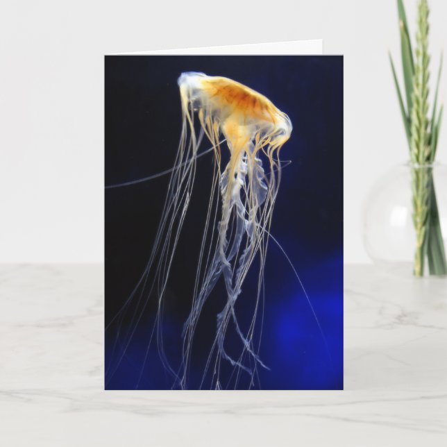 Tarjeta Card - Drifting Lace (Anverso)