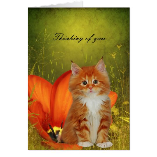 Tarjeta Carde las flores blancas del gatito del gato "que