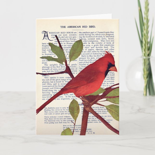 Tarjeta Cardenal (Anverso)