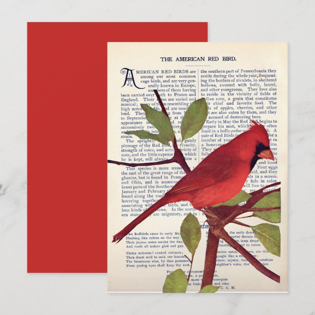 Tarjeta Cardenal (Anverso / Reverso)