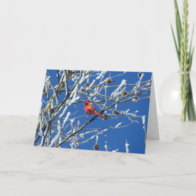 Tarjeta Cardenal de Invierno (Anverso)