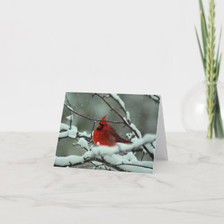 Tarjeta Cardenal de invierno - Personalizado
