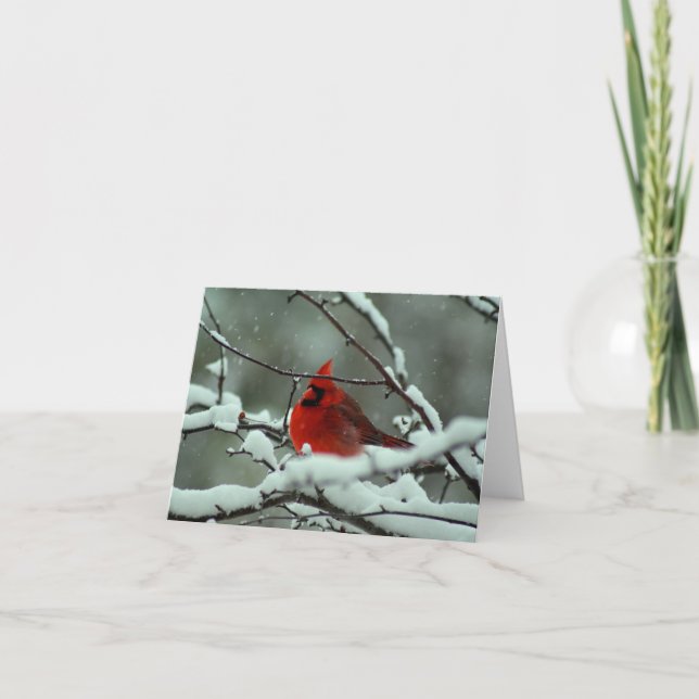 Tarjeta Cardenal de invierno - Personalizado (Anverso)