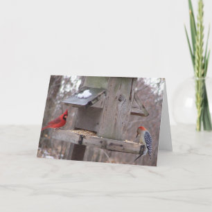 Tarjeta Cardenal de Woodpecker&Male