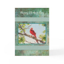 Cardenal del Día de la Madre
