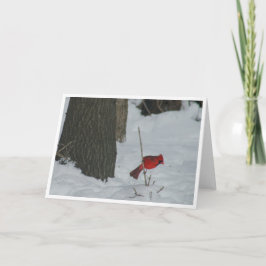 Tarjeta Cardenal en la nieve