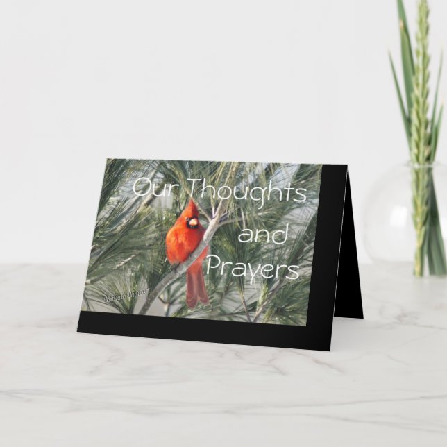 Tarjeta Cardenal en personalizar del árbol de pino (Anverso)