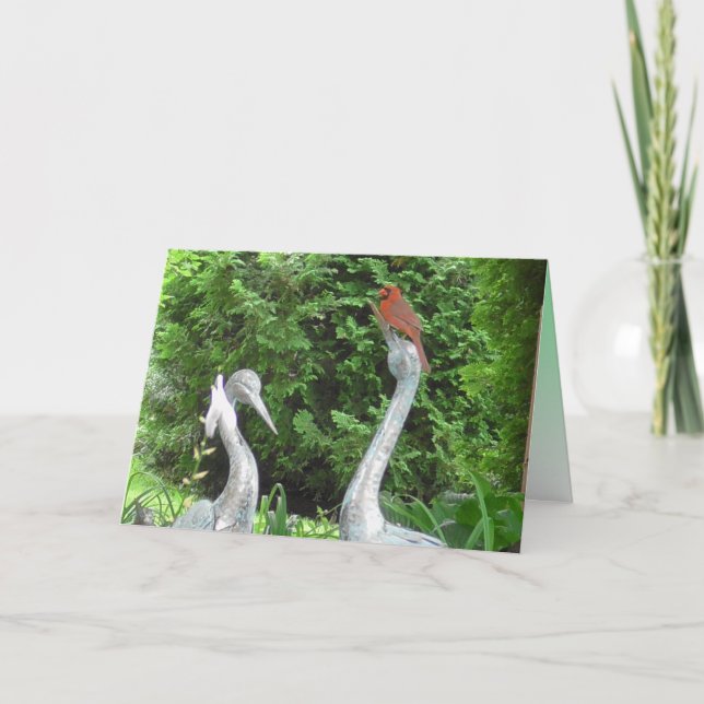 Tarjeta Cardenal en pie sobre Pelicans Blank (Anverso)
