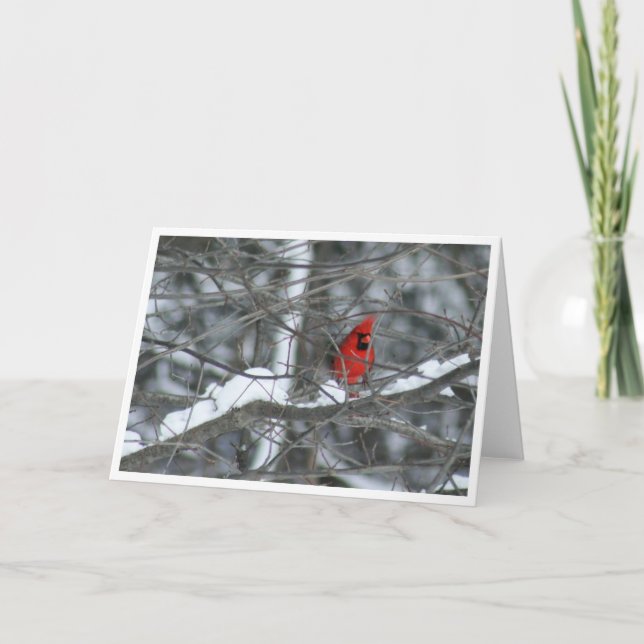 Tarjeta Cardenal en ramas nevadas (Anverso)
