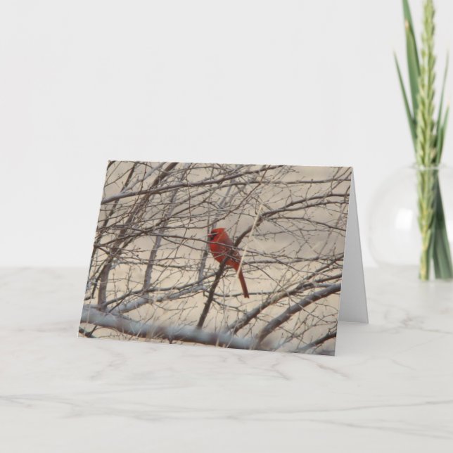 Tarjeta Cardenal/petirrojo, canción alegre (Anverso)