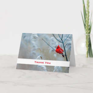 Tarjeta Cardenal rojo en la naturaleza del invierno. Foto 