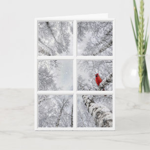 Tarjeta Cardenal Rojo En una Ventana de Invierno