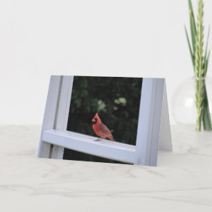 Tarjeta Cardenal rojo, te falta