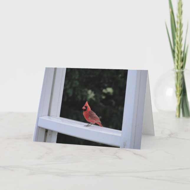 Tarjeta Cardenal rojo, te falta (Anverso)