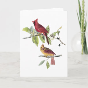 Tarjeta Cardenal septentrional de Audubon