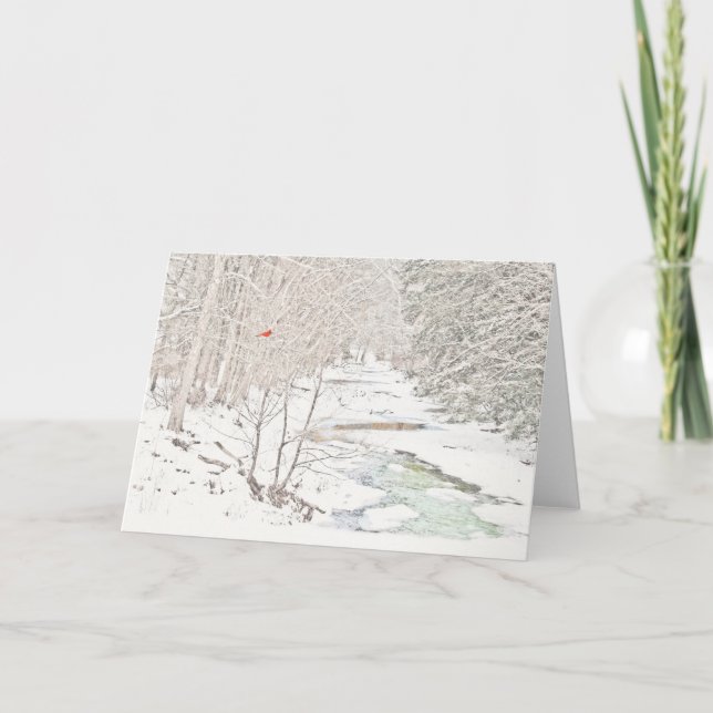 Tarjeta Cardenal sobre Creek de Invierno (en blanco dentro (Anverso)
