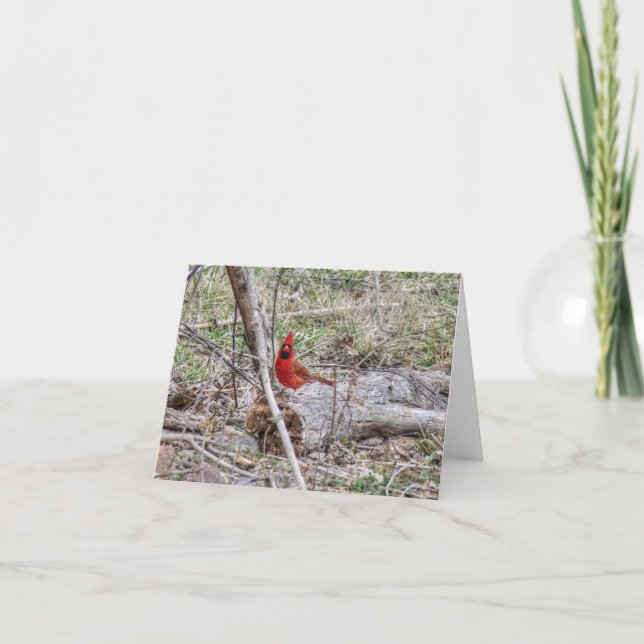 Tarjeta Cardenal Vibrante (Anverso)