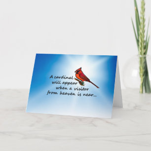 Tarjeta Cardenal, visitante del cielo