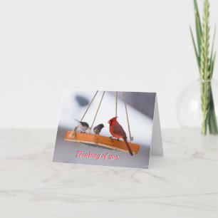 Tarjeta Cardenal y Juncos pensando en ti Card