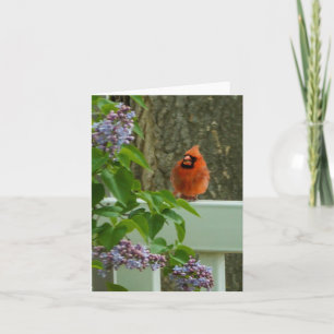 Tarjeta Cardenal y Lilac