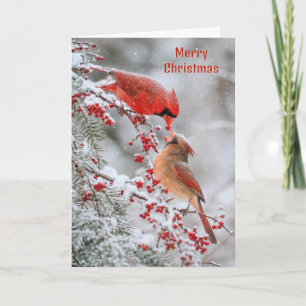 Tarjeta Cardenales de Navidad con bayas rojas en invierno