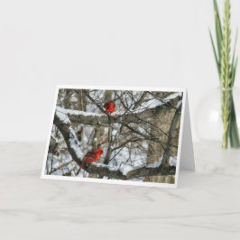 Tarjeta Cardenales de nieve