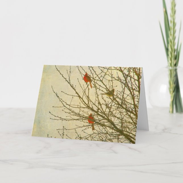 Tarjeta Cardenales del norte en un árbol (Anverso)
