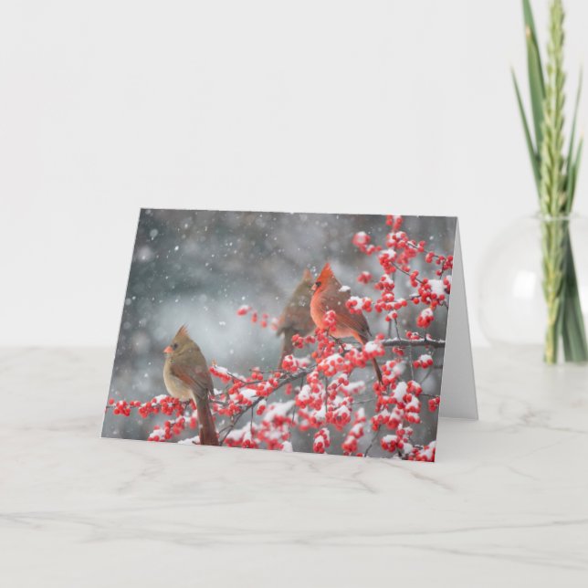 Tarjeta Cardenales del Norte | Marion, Illinois (Anverso)