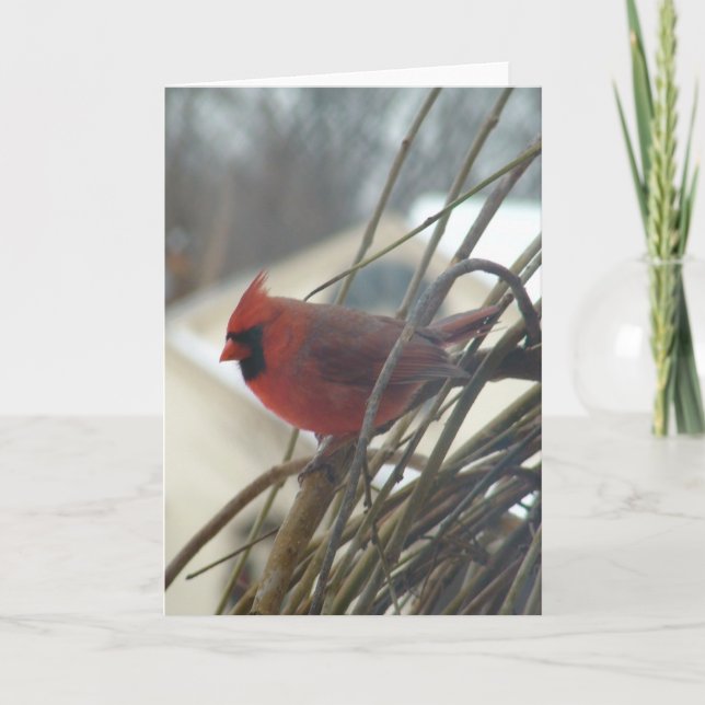 Tarjeta Cardinal (Anverso)